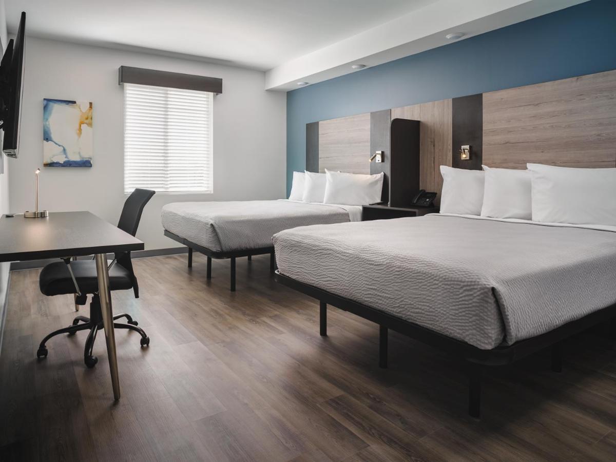 Stayapt Suites San Antonio-Randolph Live Oak Dış mekan fotoğraf